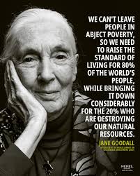 Memes, Dreams, Reflections