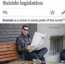 Brooklyn nine nine funny brooklyn 9 9 stupid funny memes the funny hilarious funny stuff series movies movies and tv shows tv series. Brooklyn Nine Nine Memes Album On Imgur