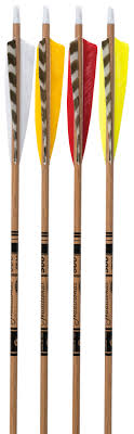 gold tip traditional carbon arrows