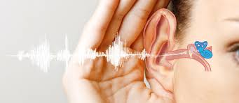 Tinnitus Sovremennoe Sostoyanie Problemy Signia Professionals