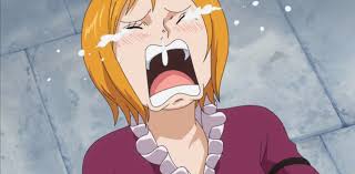 Crying Koala One Piece One Piece Episodes Anime Koala