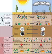 Image result for Higher Integrative Function