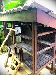 Sifat besar dominan terhadap kecil, manis domi … nan terhadap masam. Sangkar Kucing Reban Ayam Pet Supplies Pet Accessories On Carousell