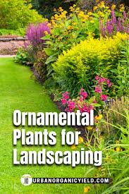 Ornamental Plants And Other Landscaping Garden Ideas Best Plants For Shade Landscaping Plants Plants
