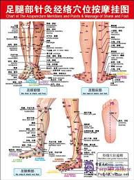 Acupuncture Points Chart Feet Bedowntowndaytona Com