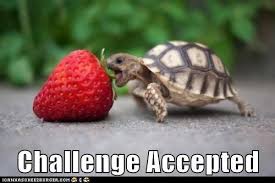 Résultat de recherche d'images pour "challenge accepted meme"