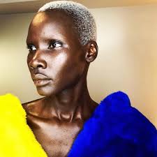 Will Francis (@colorbywil) • Instagram photos and videos