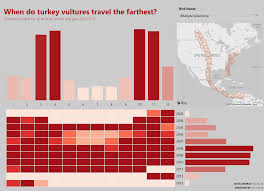 Makeover Monday Distance Traveled By Turkey Vultures Power