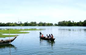 Nhớ mùa hè và bến đò ngang thuở ấy