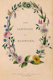 Flowers and meanings have been the subject of conversation for as long as humankind has taken the time to behold the beauty enfolded in each petal. Language Of Flowers Virtual Symposium On 30 April 2021 Biodiversity Heritage Library