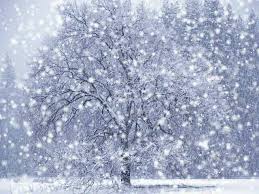 Most Beautiful Snow Pictures Snowfall Snowfall Snowfall Snowfall Snowfall In Islamabad Winter Scenes Winter Wonderland Winter Magic