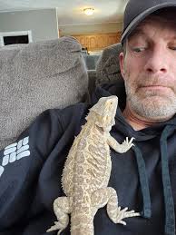 Bearded dragons Tips, Care and Rehoming Center