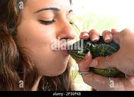 St. Paul's Highland Park High School student Ellie Silversmith kisses a  sunfish after weighing it in a class led by the Minnesota Department of  Natural Resources's fish and wildlife management
