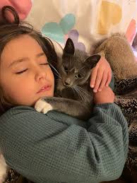 Lost grey cat named Greyz near 15st and 24ave