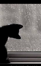 Pin By Dalga Kran On Eso In 2020 Rainy Day Photography Rain Photography Rain And Thunder