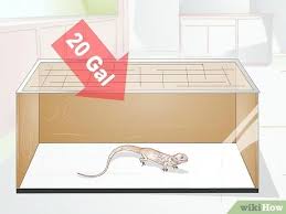 I bought my fiancé a bearded dragon 3 years ago. How To Set Up A Tank For Bearded Dragons With Pictures Wikihow