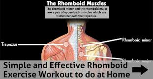 We did not find results for: Simple And Effective Rhomboid Exercise Workout To Do At Home