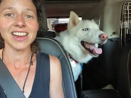 What Pandemic? Coping with Covid-19 in the Wild West