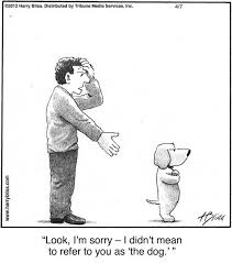 See reviews, photos, directions, phone numbers and more for kittys pet grooming locations in san antonio, tx. Look I M Sorry The Bliss Cartoon Collection By Harry Bliss Funny Dogs Dog Quotes Cartoon Dog