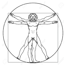 Résultat de recherche d'images pour "vitruvian man"