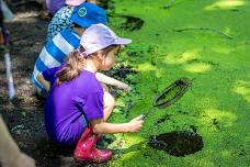 Exploring Habitat
