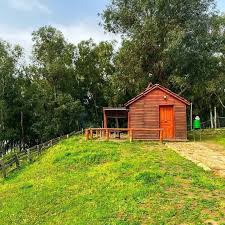Feu de camp entre amis
