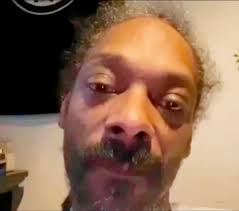 When your fighting for your life financially & get added to the “Christmas  in Miami” group chat