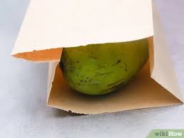 Apakah kamu ingin memiliki kekuatan sharingan seperti kakashi hatake dari serial naruto? Cara Mematangkan Mangga 9 Langkah Dengan Gambar Wikihow