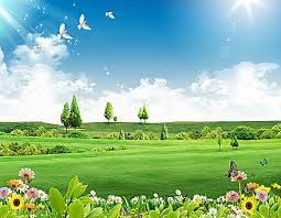 Blue Sky Green Grass Background Desktop Background Nature Green Nature Wallpaper Free Background Photos