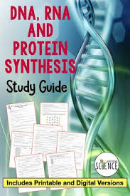 The bridge between dna and protein synthesis is the nucleic acid rna. 56 Dna Rna Protein Synthesis Ideas In 2021 Dna Protein Synthesis Biology