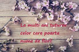 In sufletul tau se oglindesc culorile cerului; Mesaje De Florii UrÄƒri È™i FelicitÄƒri De Florii Pentru Cei Dragi Divertisment Inedit Unica Ro Novelty Sign Novelty Decor