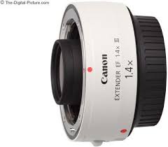 Canon 100 400 Ii With 1 4 Extender Canon Ef 1 4x Iii Extender Review Fotografos
