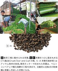 Lupicia The Assam Tea いちばん濃くておいしい アッサム 世界のお茶専門店 ルピシア 紅茶 緑茶 烏龍茶 ハーブ