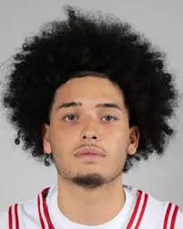 Which former Westchester Reporter area high school standouts will be in  action