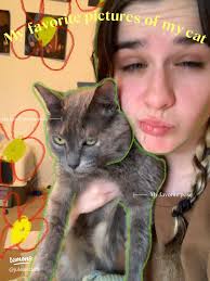 My favorite pictures of my cat💕