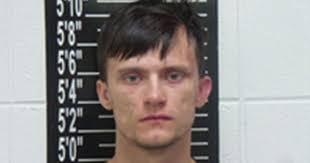 Man facing molestation charges now jailed for gun theft