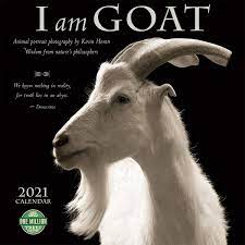 Is a fun one, usually said and even written just like the simple word goat. I Am Goat 2021 Calendar Amazon De Amber Lotus Publishing Horan Kevin Fremdsprachige Bucher