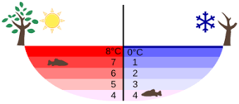 Darin sind für dich alle informationen nochmal audiovisuell aufbereitet. Natur Und Technik Fur Den Pflichtschulabschluss Anomalie Des Wassers Hauptteil Wikibooks Sammlung Freier Lehr Sach Und Fachbucher