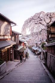 Sakura Tree On An Old Street Of Kyoto Japan Japantravelpictures Japan Fotografie Fantasielandschaft Japan Reisen