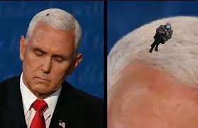 Bernie sanders makes the most bernie sanders appearance possible. Tvo5gix7mj2xlm