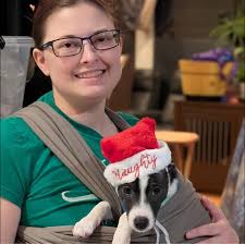 Goldendoodle meets his new best friend 🥰