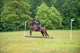 Thoroughbred Logic: All the Potential