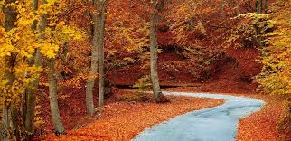 Download the perfect fall photography pictures. 60 Breathtaking Fall Pictures The Photo Argus