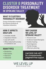Image result for Cluster B Personality Disorder