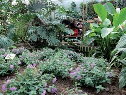 E' un anonimo mercoledì mattina e grazie anche alla pioggia, che ci fa cambiare rotta appena apriamo i balconi, da ovest puntiamo verso nordest, verso la casa delle farfalle.peccato non poter visitare il centro del paese, dove si dice le case siano colorate con disegni. Alla Scoperta Della Casa Delle Farfalle Citta Nuova Citta Nuova