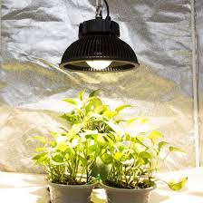 Check spelling or type a new query. Led Grow Lights Greenhouse Cxm 32 Cob 280watt Ufo Full Spectrum Led Grow Light With Great Heat Dissipating China Ufo Led Grow Light Cxm32 Led Grow Light Made In China Com