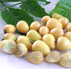 Image result for Clausena