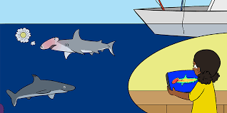 Exposure To Sunlight Affects The Body Temperatures Of Sharks Frontiers For Young Minds