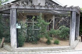 Outdoor Bird Aviary For Sale Large Outdoor Bird Aviary Bird Aviary Aviary Zoo