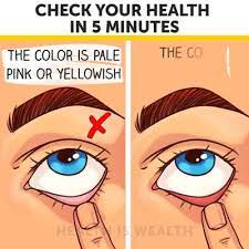 Apa kelebihan cmd revell vs produk lain ? Cmd Revell Global Startseite Facebook